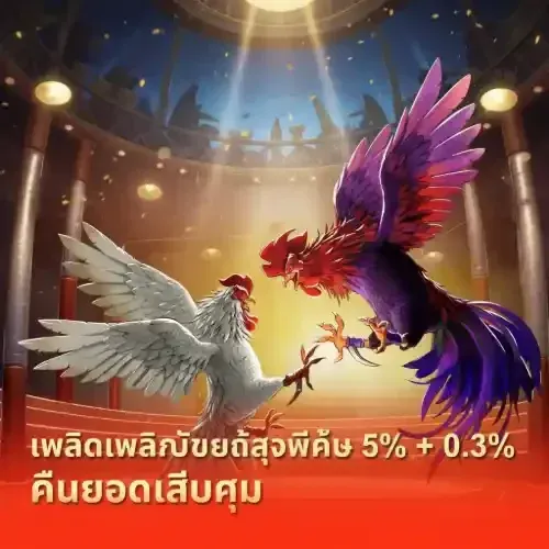 คืนยอดเสียไก่ชนสุดคุ้ม 5% + 0.3%